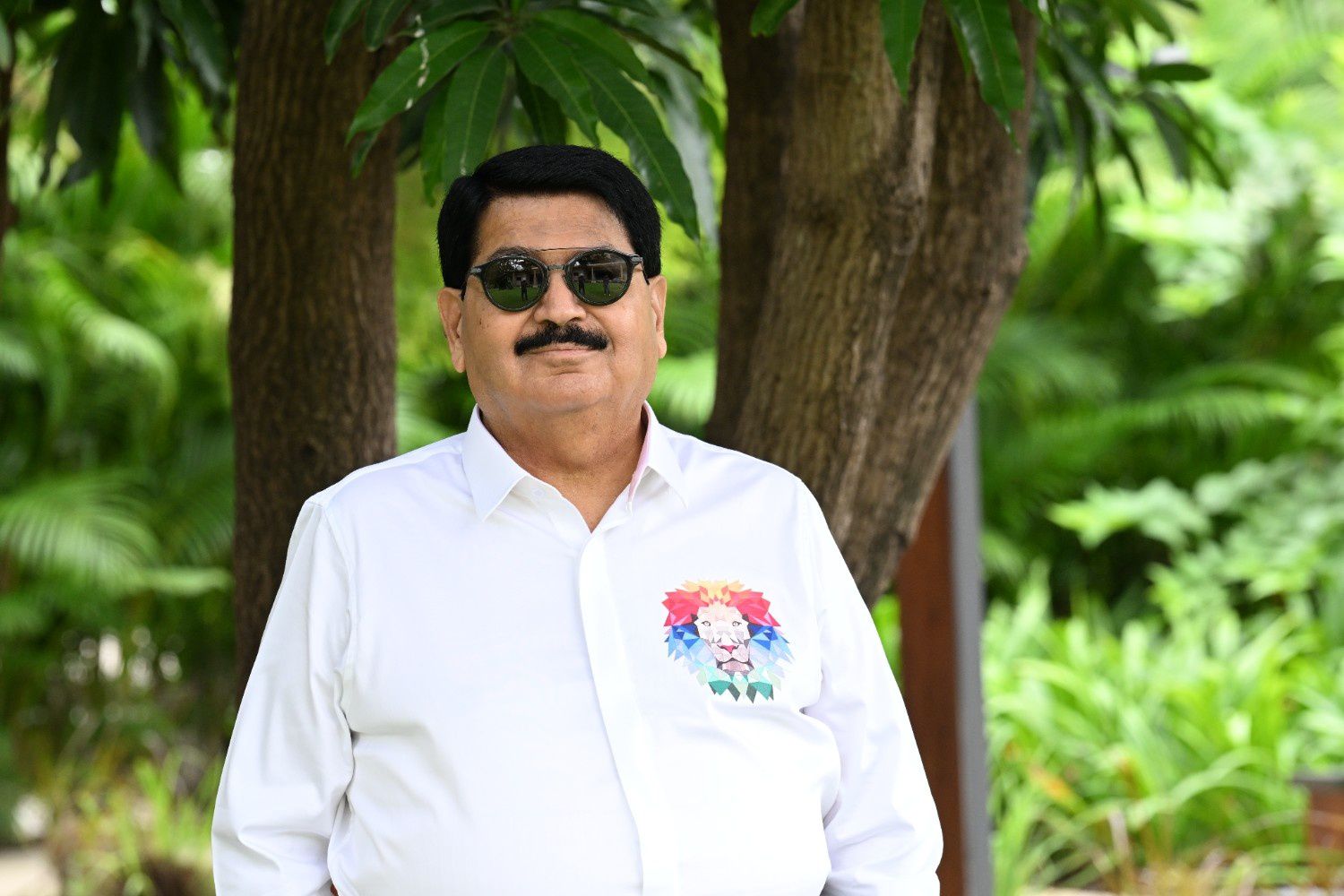 સિંહોની મૂવમેન્ટ પર વોચ રાખવા AI-આધારિત ઇન્ટ્રુઝન ડિટેક્શન સિસ્ટમ